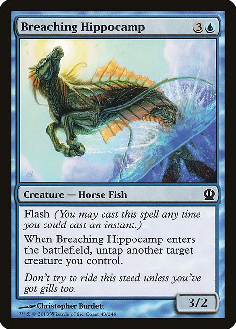 Breaching Hippocamp (THS)