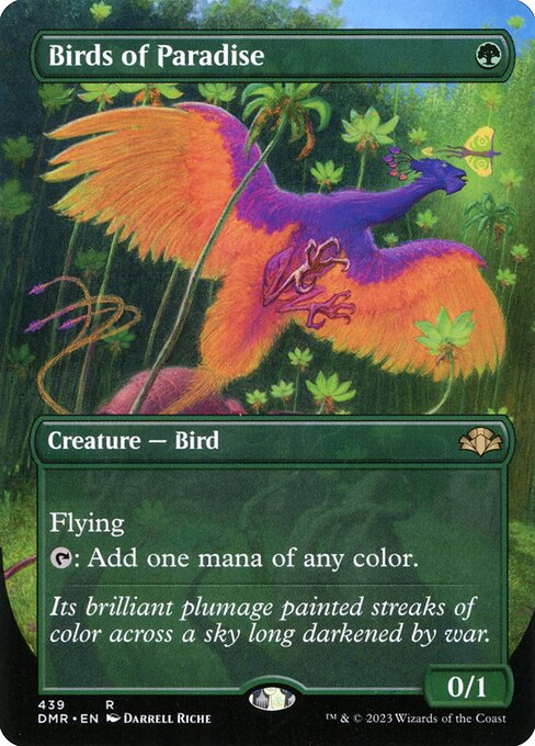 Birds of Paradise (DMR)